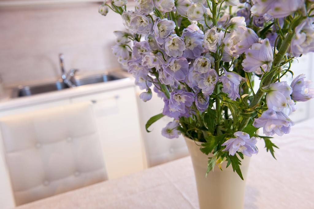 Bed & Breakfast Ca' Cappellis Venezia